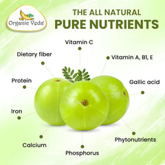 Organic Veda Amla Fruit Capsules in white capsules, displayed in a close-up shot showing their smooth texture and natural appearance.