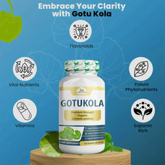 Organic Veda Gotukola capsules in a bottle, showing the herbal supplement capsules for health and wellness.