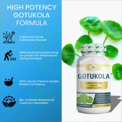 Organic Veda Gotukola Capsules shown in a clear container, featuring green herbal capsules made from natural Gotukola leaves.