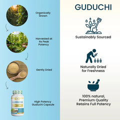 Guduchi Capsules