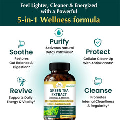 Green Tea Extract Moringa Matcha Capsules