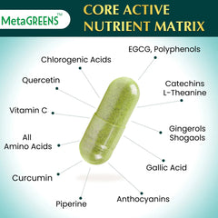 Ginkgo Biloba Turmeric Bacopa Capsules