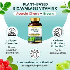 Green Tea Extract Moringa Matcha Capsules