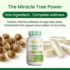 Organic Veda Moringa seed capsules in a clear bottle, showing white capsule pills for dietary supplement use.