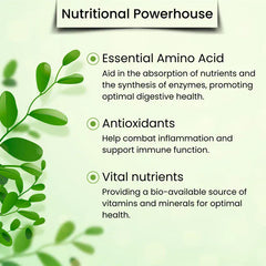 Vegs Moringa Leaf Powder in a clear jar, showing vibrant green powdered leaf supplement for health and nutrition.