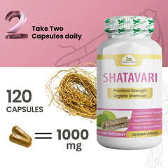 Shatavari Capsules
