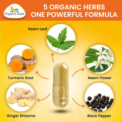 Turmeric Neem Capsules