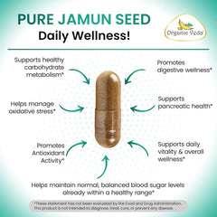 Jamun Seed Capsules